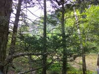 View from Dick Gramm's Lunch stop