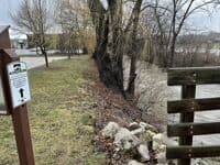 Elm Grove Put In
