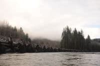 Engineered Log Structures at Gold Basin