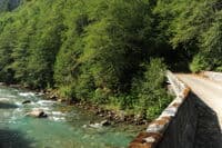 Forest Road 1570 Bridge