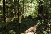 Elk Lake Trailhead