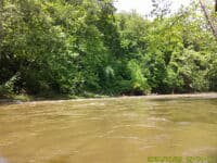 Trickling Springs