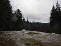 Big Brown Water on the Sol Duc