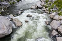 Lobin Third Rapid 