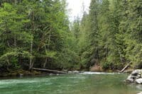 View Downstream