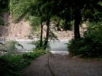 Hoh Oxbow Access