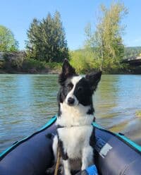 First time river dog. She was a trooper.