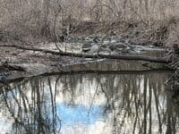 Deadfall