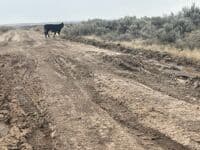 Fenwick Road April 18, 2023 on road to Three Forks put in