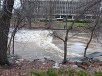 MSU Wave at 1330