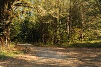 Entry to Maple Creek Access Site