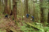 Building the Put-in Trail