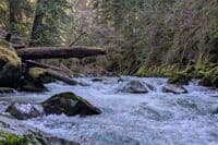Typical run - Gorge