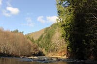 View of the Chehalis