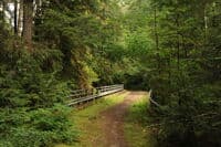Old FR 2860 Bridge 