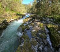 Chute