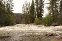 Last Section of Boulder Creek Rapid