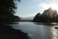 Looking Downstream from Highway 530 Bridge Access