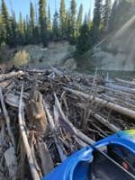 Log jam
