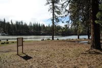 Pioneer Park Views