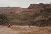 Bass Rapid