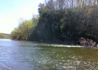Rock Outcrop Monocacy River