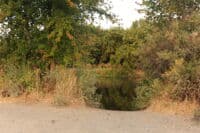 Tapteal Bend Access Ramp