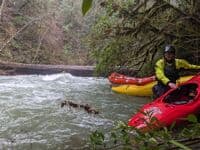 Second River wide log