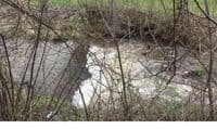 Plaza Spill Dam
