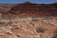 Anasazi Ruins at Unkar Delta