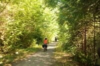 Biking the old Forest Road 2610
