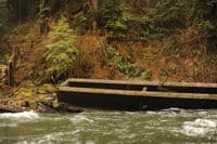 Bridge Remnant 