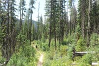 Hiking in on the Granite Creek Trail
