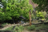 Jones Hole Camp