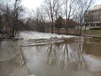 MSU Wave at 1250 cfs