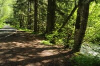 Forest Road 67 Access