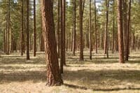 Keno Recreation Area