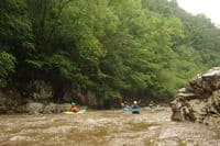 Enjoying the Big Laurel