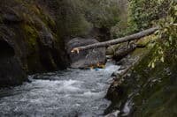 The Move Around the Boulder