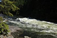 Prelude Rapid