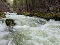 EF SF Salmon River