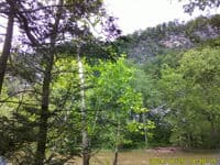 View from Dick Gramm's Lunch stop