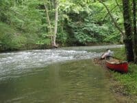 Upper Walker between Rt. 608 bridges