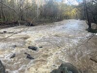 Downstream from Wood's Mill Busted Dam