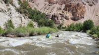 Duck rapids