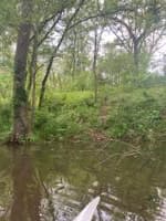 Where I seal launched into a pond right by Buckhorn Dam