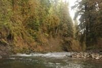 Looking Upstream on the Sitkum