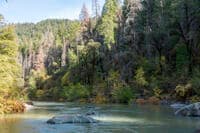Calm stretch above Tuna Creek Falls