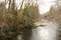 Access at North Fork Confluence