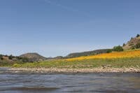 Restored River Corridor